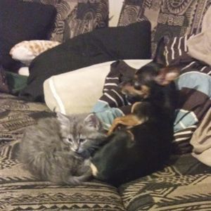 Meet your Posher, Gina